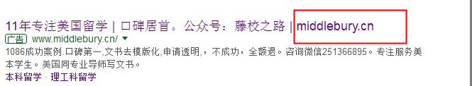 image 2 - adwords广告后面显示网址？